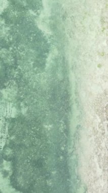 Tanzanya 'nın Zanzibar kıyısındaki okyanusun dikey videosu