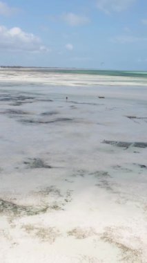 Tanzanya 'nın Zanzibar kıyısındaki okyanusun dikey videosu