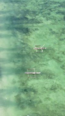 Tanzanya 'nın Zanzibar kıyısındaki okyanusun dikey videosu