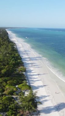 Tanzanya 'nın Zanzibar kıyısındaki okyanusun dikey videosu