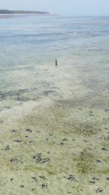 Tanzanya, Zanzibar 'daki bir kıyı manzarasının dikey videosu