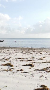 Tanzanya, Zanzibar 'daki bir kıyı manzarasının dikey videosu
