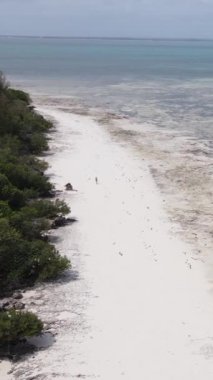 Tanzanya, Zanzibar 'daki bir kıyı manzarasının dikey videosu