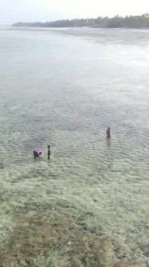 Tanzanya, Zanzibar 'daki bir kıyı manzarasının dikey videosu
