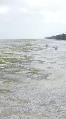 Tanzanya, Zanzibar 'daki bir kıyı manzarasının dikey videosu