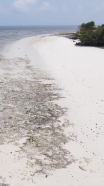 Tanzanya, Zanzibar 'daki bir kıyı manzarasının dikey videosu