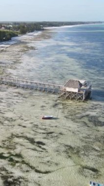 Tanzanya 'nın Zanzibar sahilinde, okyanustaki sazlıklar üzerinde dikey video evi