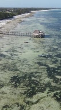 Tanzanya 'nın Zanzibar sahilinde, okyanustaki sazlıklar üzerinde dikey video evi