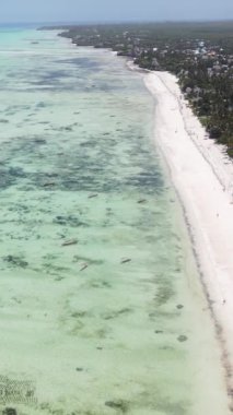 Tanzanya 'nın Zanzibar kıyısındaki okyanusta alçak gelgitin dikey videosu