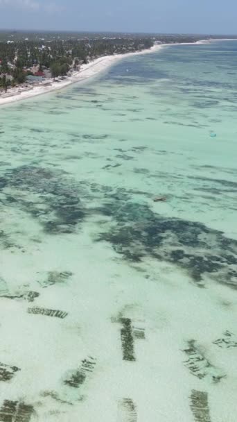 Vertical video of the ocean near the coast of Zanzibar, Tanzania — Stock Video