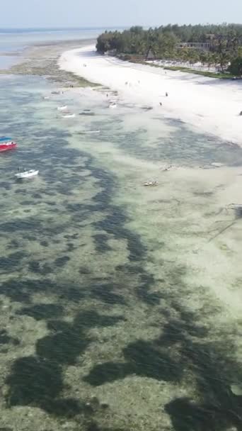 Vertikální video oceánu u pobřeží Zanzibaru, Tanzanie — Stock video