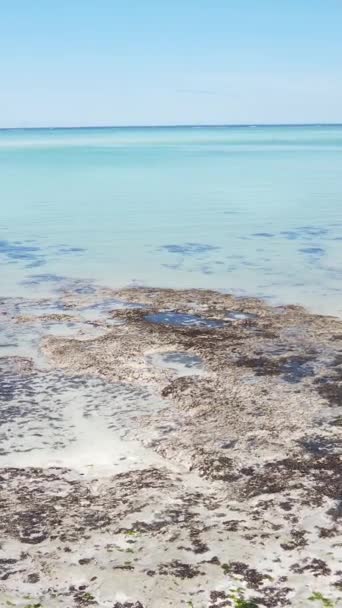 Verticale video van de oceaan bij de kust van Zanzibar, Tanzania — Stockvideo