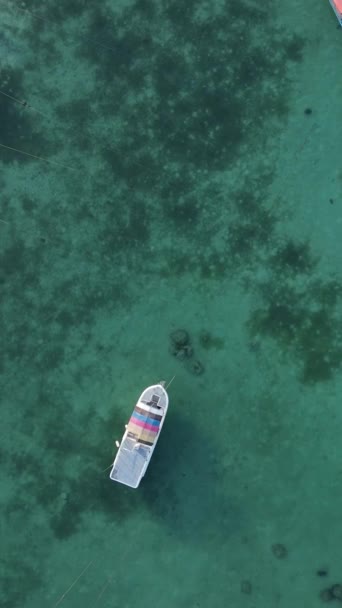 Video verticale dell'oceano vicino alla costa di Zanzibar, Tanzania — Video Stock