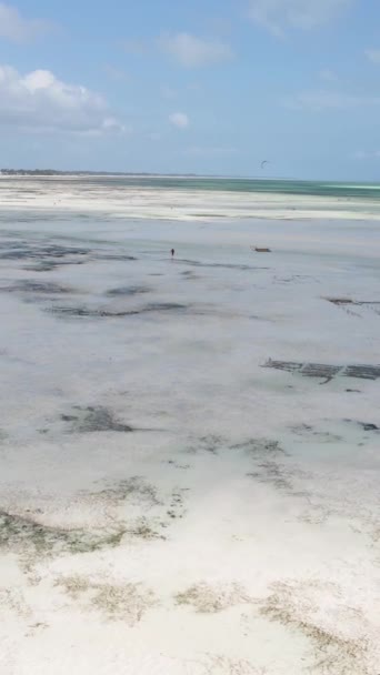 Vidéo verticale de l'océan près de la côte de Zanzibar, Tanzanie — Video