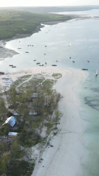 Video verticale dell'oceano vicino alla costa di Zanzibar, Tanzania — Video Stock