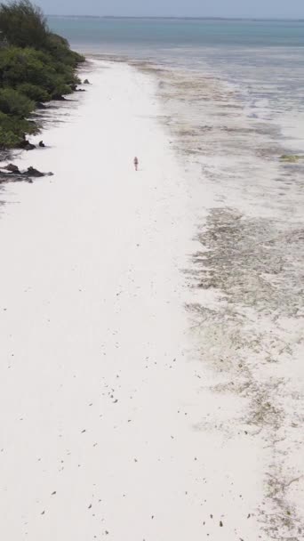 Вертикальне відео прибережного пейзажу в Занзібарі (Танзанія). — стокове відео