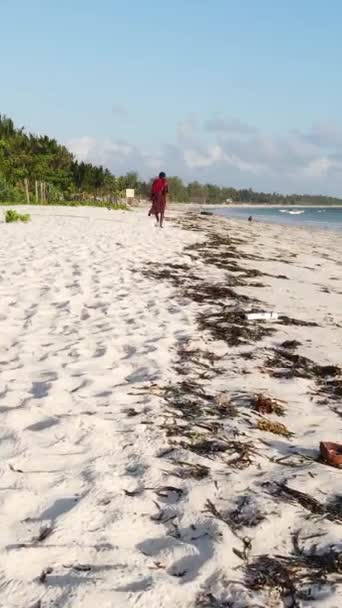Vidéo verticale d'un paysage côtier à Zanzibar, Tanzanie — Video
