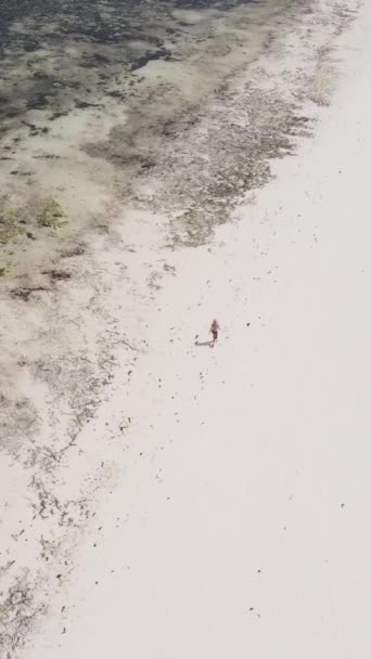 Vídeo vertical de uma paisagem costeira em Zanzibar, Tanzânia — Vídeo de Stock