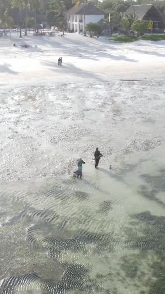 Verticale video van een kustlandschap in Zanzibar, Tanzania — Stockvideo