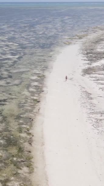 Vertikal video av ett kustlandskap i Zanzibar, Tanzania — Stockvideo