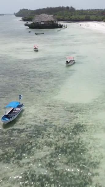 Tanzanya 'nın Zanzibar sahilinde, okyanustaki sazlıklar üzerinde dikey video evi — Stok video