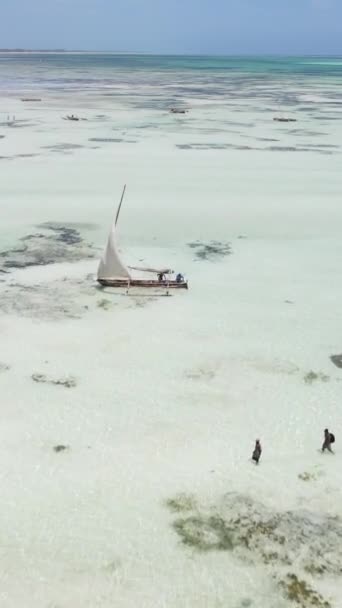 Vertical video of low tide in the ocean near the coast of Zanzibar, Tanzania — Stock Video