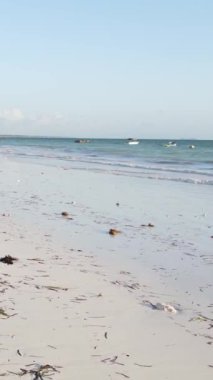Tanzanya 'nın Zanzibar kıyısındaki okyanusta alçak gelgitin dikey videosu
