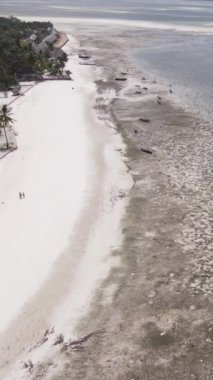 Tanzanya 'nın Zanzibar kıyısındaki okyanusta alçak gelgitin dikey videosu
