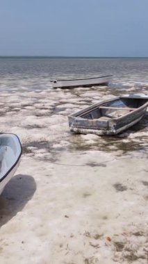 Tanzanya 'nın Zanzibar kıyısındaki okyanusta alçak gelgitin dikey videosu