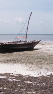 Tanzanya 'nın Zanzibar kıyısındaki okyanusta alçak gelgitin dikey videosu