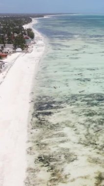 Tanzanya 'nın Zanzibar kıyısındaki okyanusta alçak gelgitin dikey videosu