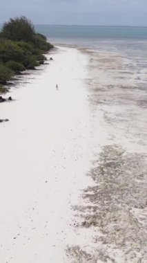 Tanzanya 'nın Zanzibar kıyısındaki okyanusta alçak gelgitin dikey videosu
