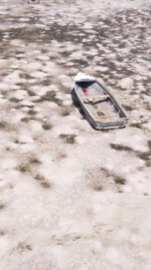 Tanzanya 'nın Zanzibar kıyısındaki okyanusta alçak gelgitin dikey videosu