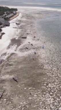 Tanzanya 'nın Zanzibar kıyısındaki okyanusta alçak gelgitin dikey videosu