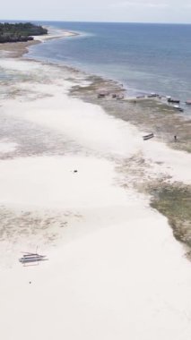 Tanzanya 'nın Zanzibar kıyısındaki okyanusta alçak gelgitin dikey videosu