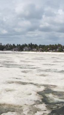 Tanzanya 'nın Zanzibar kıyısındaki okyanusta alçak gelgitin dikey videosu