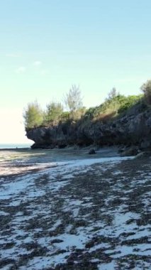 Tanzanya 'nın Zanzibar kıyısındaki okyanusta alçak gelgitin dikey videosu