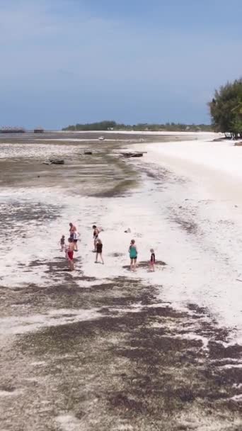 Függőleges videó apályról az óceánban, Zanzibár partjainál, Tanzániában — Stock videók