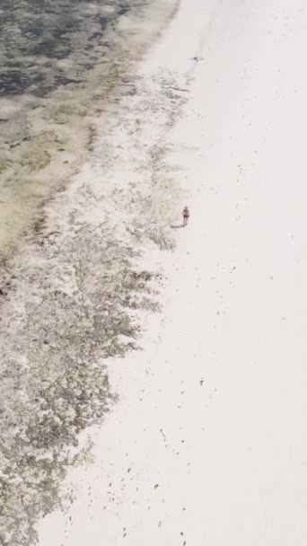 Vídeo vertical da maré baixa no oceano perto da costa de Zanzibar, na Tanzânia — Vídeo de Stock