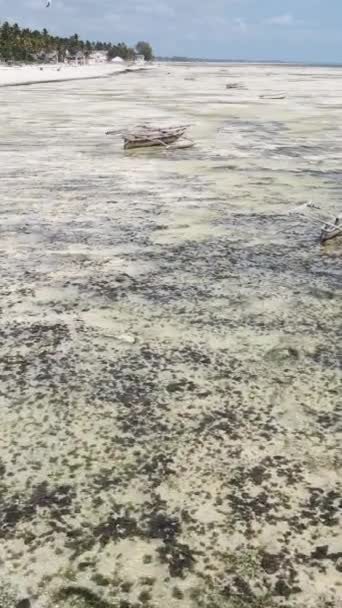 Κάθετο βίντεο της χαμηλής παλίρροιας στον ωκεανό κοντά στις ακτές της Ζανζιβάρης, Τανζανία — Αρχείο Βίντεο