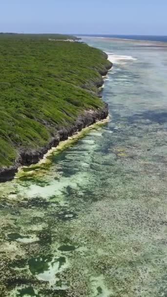 Vertical video of low tide in the ocean near the coast of Zanzibar, Tanzania — стокове відео