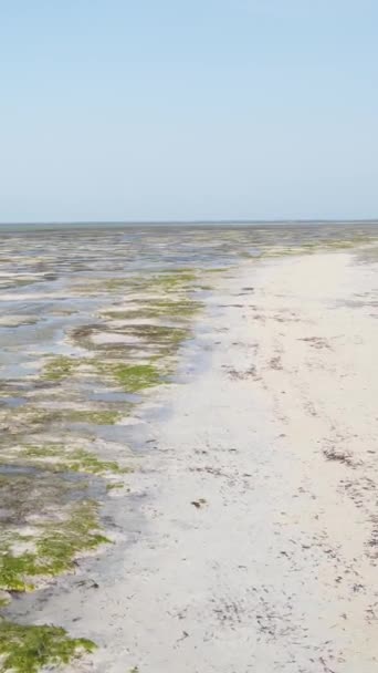 Vídeo vertical de la marea baja en el océano cerca de la costa de Zanzíbar, Tanzania — Vídeo de stock