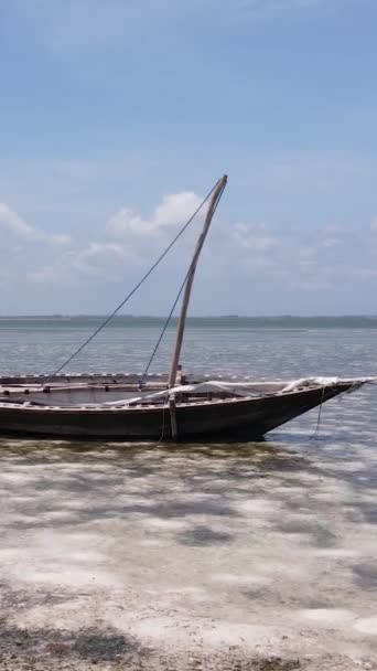 Verticale video van laagwater in de oceaan nabij de kust van Zanzibar, Tanzania — Stockvideo