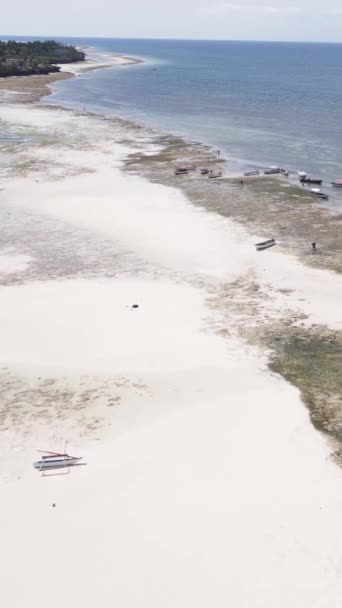 Vertikal video av lågvatten i havet nära kusten i Zanzibar, Tanzania — Stockvideo