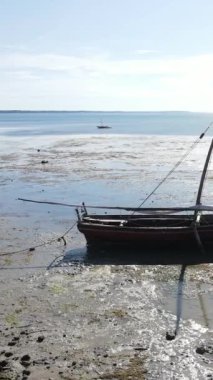 Tanzanya 'nın Zanzibar kıyısındaki okyanusta alçak gelgitin dikey videosu
