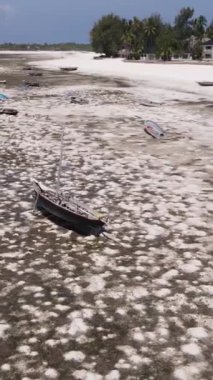 Tanzanya 'nın Zanzibar kıyısındaki okyanusta alçak gelgitin dikey videosu