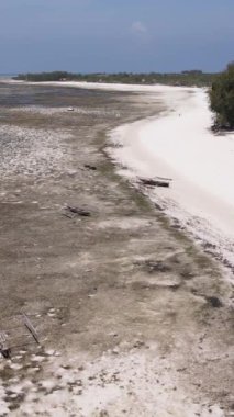 Tanzanya 'nın Zanzibar kıyısındaki okyanusta alçak gelgitin dikey videosu