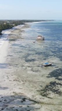 Tanzanya 'nın Zanzibar kıyısındaki okyanusta alçak gelgitin dikey videosu