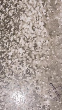 Tanzanya 'nın Zanzibar kıyısındaki okyanusta alçak gelgitin dikey videosu