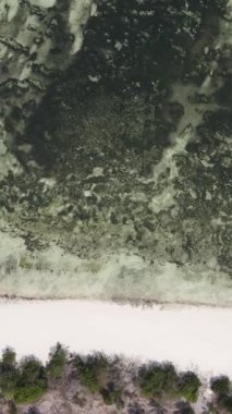 Tanzanya 'nın Zanzibar kıyısındaki okyanusta alçak gelgitin dikey videosu